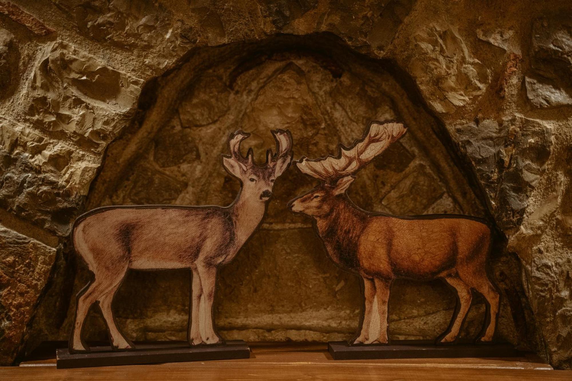 Afanos Guesthouse Arachova Chambre photo